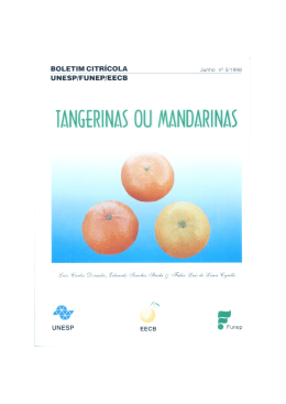 Tangerinas ou Mandarinas - Estação Experimental de Citricultura