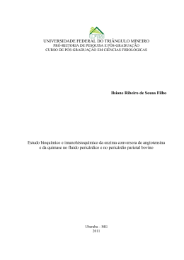 Ilsione Dissert - Universidade Federal do Triângulo Mineiro