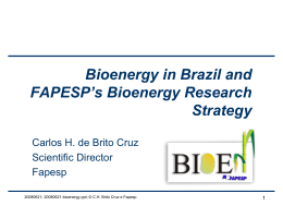 FAPESP and Bioenergy Research