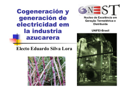 Cogeneración y generación de electricidad em la - Nest