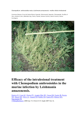Efficacy of the intralesional treatment with Chenopodium