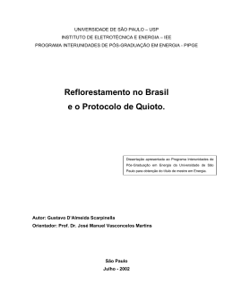 Reflorestamento no Brasil e o Protocolo de Quioto.