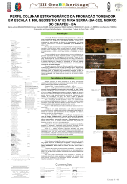 perfil colunar estratigráfico da fromação tombador em escala