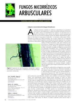 ARBUSCULARES - Biotecnologia
