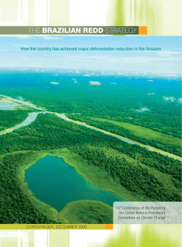 The Brazilian Redd Strategy - How the country has achieved major