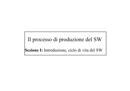 Il processo di produzione del SW
