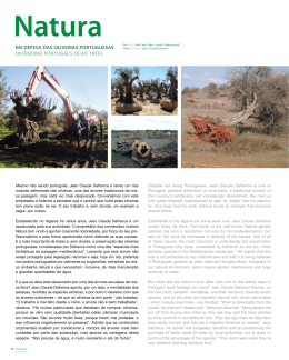 em defesa das oliveiras portuguesas defending