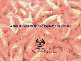 Global Outlook for Shrimp Markets and Demand