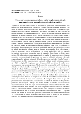 Doutoranda: Eiva Natiele Tiago da Silva Orientador: Prof. Dr. Valdir