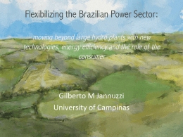 Flexibilizing the Brazilian Power Sector: