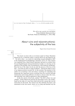 102 About ruins and re(constructions): the subjectivity of the loss