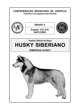 Padrão do Husky Siberiano