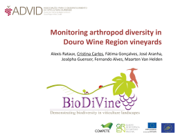 Monitoring arthropod diversity in Douro Wine Region