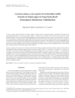 Corydoras tukano, a new species of corydoradine