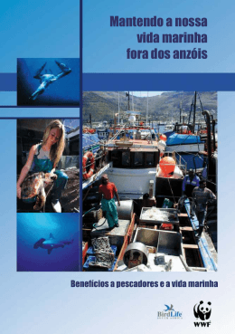 Bycatch mitigation measures (BirdLife South Africa)