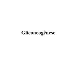 Gliconeogênese