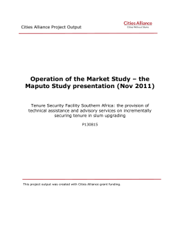 Operation of the Market Study – the Maputo Study