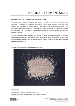 preparação de gengibirra PDF - BioTecnologia