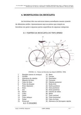 04 Capítulo 4 - Morfologia da bicicleta