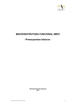 (MEF) – Pressupostos básicos (2011)