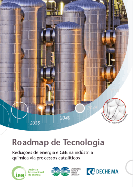 Roadmap de Tecnologia - International Energy Agency