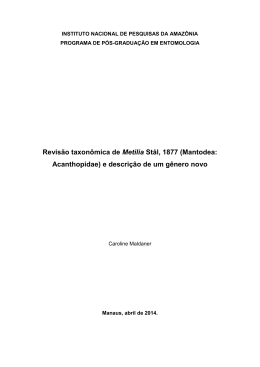Revisão taxonômica de Metilia Stål, 1877 (Mantodea: Acanthopidae