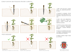 Como plantar uma pequena árvore florestal