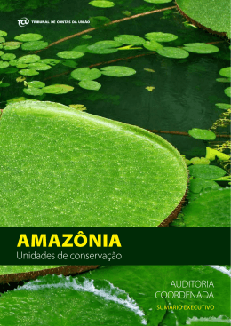 auditoria coordenada na Amazônia