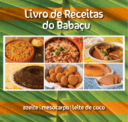 Livro de Receitas do Babaçu - APA-TO: Alternativa para a Pequena
