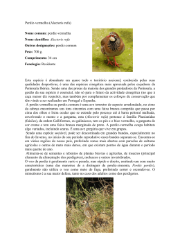 Perdiz-vermelha (Alectoris rufa) Nome comum: perdiz