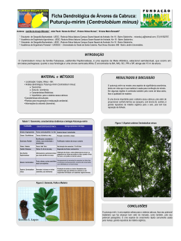 Ficha dendrológica da Espécie Arbórea Puturuju-mirim