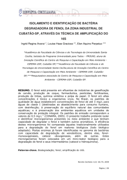 Arquivo PDF (146 Kb.) - Universidade Santa Cecília