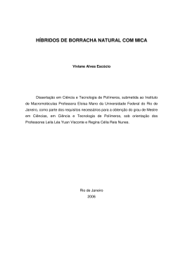 HÍBRIDOS DE BORRACHA NATURAL COM MICA