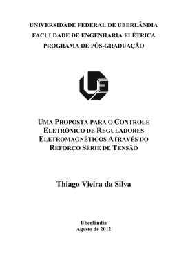 Thiago Vieira da Silva - Universidade Federal de Uberlândia