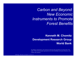 Carbon and Beyond: New Economic Instruments to