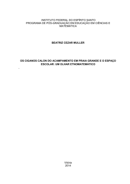 MPECM_ Dissertação de Mestrado_ Beatriz Cezar Muller_ 2014