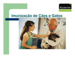 Imunização de Cães e Gatos