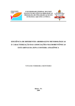 Dissertação completa (versão PDF)