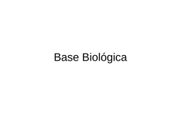 Base Biológica