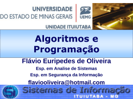 Apresentação - Professor Flávio