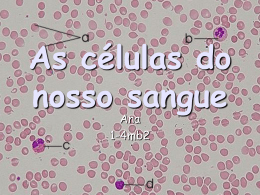 As células do nosso sangue