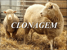 Clonagem