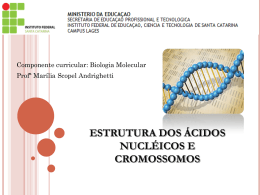 1º aula - Estrutura dos Ácidos Nucléicos e Cromossomos