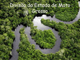 Divisão do Estado de Mato Grosso em
