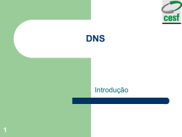 DNS (download)