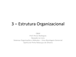 3 – Estrutura Organizacional