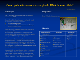 Aula_pratica-_extraccaoao_de_ADN1