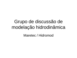 Grupo de discussão de modelação hidrodinâmica