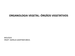 Organologia_Vegetal