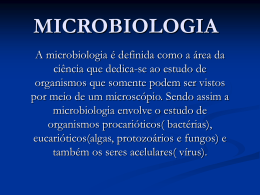 Microbiologia Bacterias